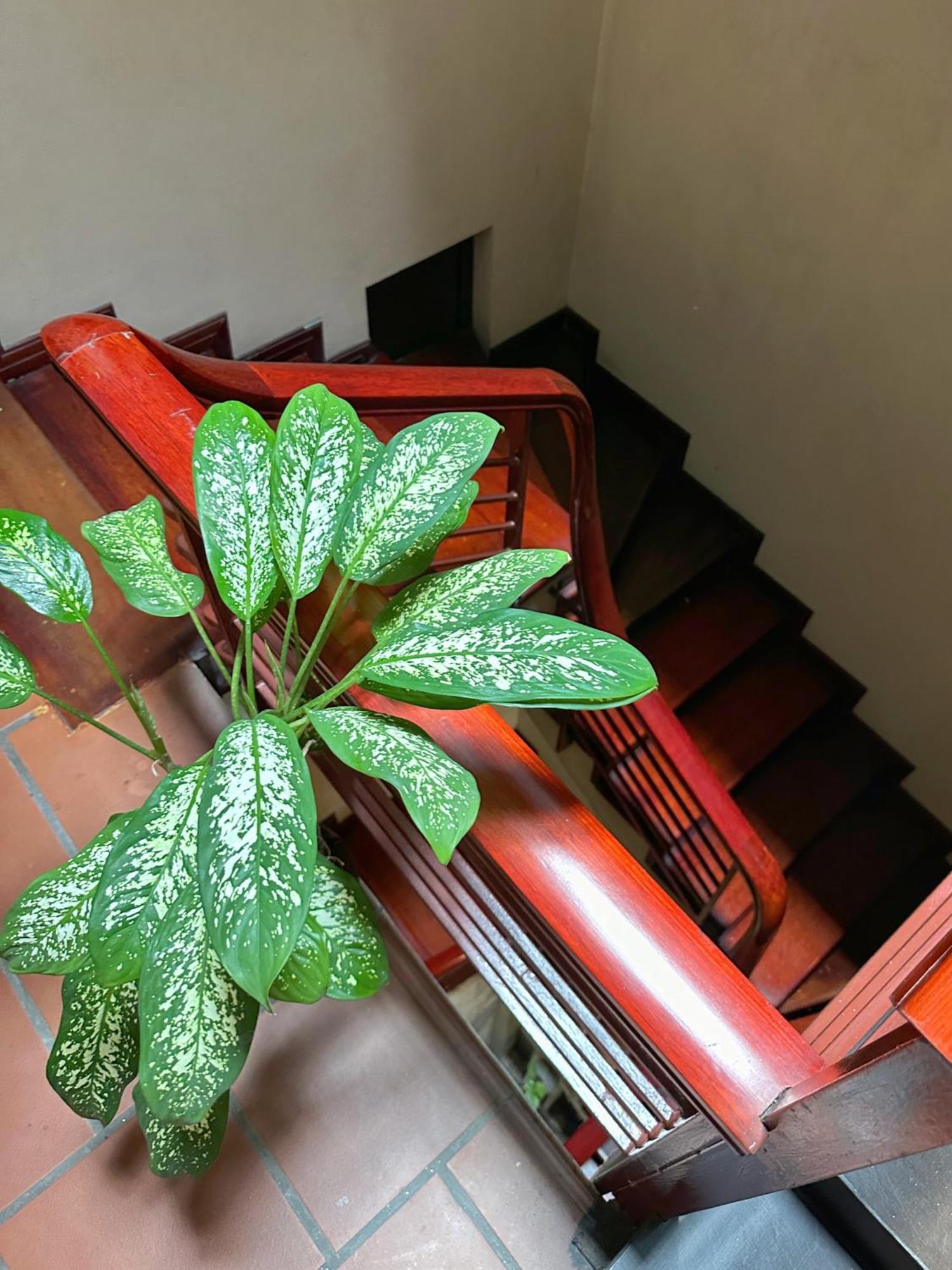 Halo Bay Homestay Hạ Long Extérieur photo