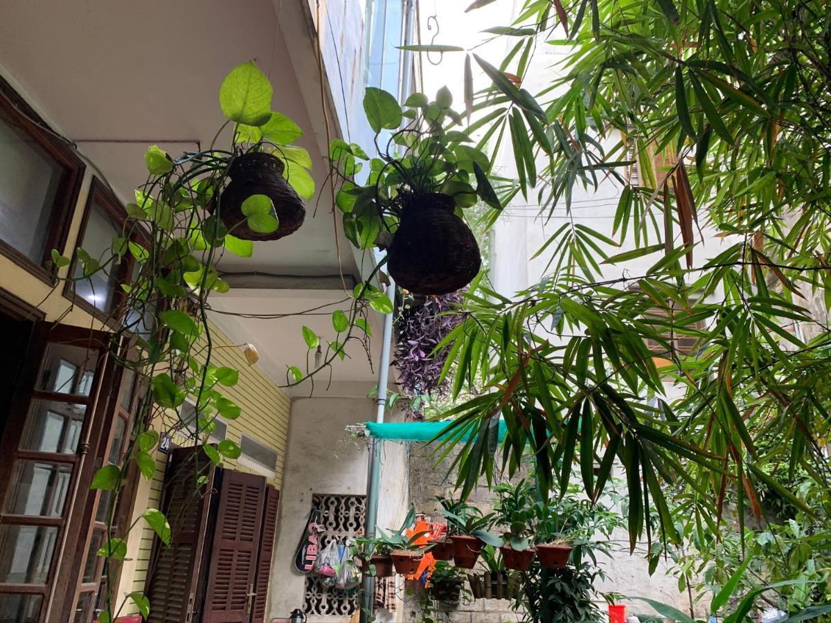 Halo Bay Homestay Hạ Long Extérieur photo